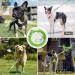 Buy Tie-Out Leashes for Dogs | Durable 3/6/9/15m Yard Leash in Green - Perfect for Safe Outdoor Play - Buy Online on GoSupps.com