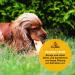 Hey Pets Beef Head for Dogs - 500g Natural Cereal-Free Chews | Ideal for Tooth Cleaning | 14cm Pieces | 100% Natural & Untreated - Buy Online on GoSupps.com