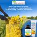 Buy ELP ESSENTIAL Arnica Montana Capsules 500mg - 100 Capsules + Arnica Gel 4.1oz - Fast International Shipping - Buy Online on GoSupps.com