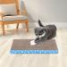 5-in-1 Premium Cat Scratch Pad | Reversible Durable Cardboard | Suitable for Rest, Claws, and Play - Buy Online on GoSupps.com