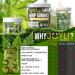 JOYLI Quit Smoking Gummies - All-Natural Lung Cleanse with Mullein Leaf & Reishi Mushroom - Vegan Lung Detox Gummies for Smokers - Buy Online on GoSupps.com