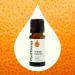 Plant Therapy Orange Essence Oil 10 mL (1/3 oz) 100% Pure Undiluted Essence Oil Orange 0.33 Fl Oz (Pack of 1) - Buy Online on GoSupps.com