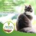 Beaphar Tick & Flea Protection Shampoo for Dogs & Cats - 250ml | 7 Days Repellent for Healthy Fur & Fresh Fragrance - International Shipping Available - Buy Online on GoSupps.com