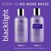 Oligo Professionnel Blacklight Blue Conditioner - Anti Brassiness Sulfate Free Toner (8.5 oz) - Buy Online on GoSupps.com