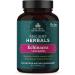 Ancient Nutrition Elderberry + Probiotics | Dr. Axe | 60 Capsules | Immune Support - Buy Online on GoSupps.com
