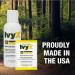 CoreTex Ivy X Poison Ivy Wipes - 12 Single-Use Treatment Wipes for Poison Ivy Oak & Sumac Removal | Fast International Shipping - Buy Online on GoSupps.com