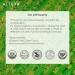Altenya Bio Bulgarian Rose Essential Oil 10ml - 100% USDA Certified Authentic Damascus Rose Oil | Altenya Organics - Buy Online on GoSupps.com
