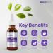 Beverly Hills DCX Eye Serum - Dark Circles, Puffy Eyes, Wrinkles & Crow's Feet Treatment - Buy Online on GoSupps.com