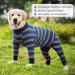 Axcimond Dog Recovery Suit - After Surgery Body Suit for Dogs | Long-Sleeved Wound Protection | 5XL Navy - Alternative to Neck Collars - Buy Online on GoSupps.com