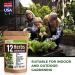 12 Culinary Herb Seeds Variety - USA Grown for Indoor and Outdoor Gardens | Heirloom and Non-GMO Seeds Including Basil, Parsley, Cilantro, Mint, Chives, Thyme, Oregano, Tarragon, Dill, Rosemary, Sage & More - Buy Online on GoSupps.com