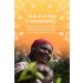 English Tea Shop Organic Turmeric Ginger & Lemongrass (15 Pyramids) 30 g - Buy Online on GoSupps.com