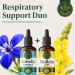 HERBAMAMA Lobelia Tincture - Vegan Lobelia Leaf Extract for Lung Cleanse & Detox - Respiratory Lung Support Drops - Non-GMO, Alcohol & Sugar-Free Respiratory Support Supplement 4 Fl Oz (Pack of 1) - Buy Online on GoSupps.com