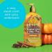 Hempz Limited Edition Pumpkin Spice & Vanilla Chai Body Lotion - 17 oz Shea Butter Moisturizer with Hemp Seed Oil - Buy Online on GoSupps.com