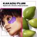 Generation Skin Kakadu Plum Under Eye Brightener Patches - Pack of 5 | Hydrogel Eye Mask for Dark Circles | Anti-Aging Firming and Moisturizing - Buy Online on GoSupps.com