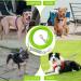 Yard Leash for Dogs - Shock Absorbing 15m Tie Out Cable | Durable Outdoor Leash in Green - Buy Online on GoSupps.com