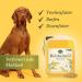 Martenbrown Rice Germ Oil 5L - Premium Dietary Supplement for Horses Dogs & Donkeys | Ideal for Dry & Canned Food Barf Oil - Buy Online on GoSupps.com