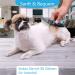 Fttouuy 2-in-1 Pet Deshedding and Dematting Tool - Azure Short Hair | Dual Sided Pet Grooming Brush for Mats & Tangles Removal - Buy Online on GoSupps.com