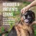 Natural Rapport Cat and Dog Tear Stain Remover The Only Eye Tear Stain Remover Dogs Need Gentle Yet Powerful Natural Tear Stain Remover For Dogs Eyes (237 ml) 237 ml (Pack of 1) - Buy Online on GoSupps.com