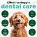 Fresh Breath by TropiClean - Water Additive for Dogs - Remove Plaque & Tartar - Advanced Whitening - 473 ml - Buy Online on GoSupps.com