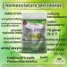 Amla Fruit (Gooseberry) Candy 250grm - Buy Online on GoSupps.com