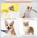 Dog Care Scissor Set - GEK 6 in 1 Professional Titanium-Coated Safety Scissors for Dogs & Cats - Buy Online on GoSupps.com
