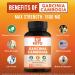 Garcinia Cambogia 1600mg (180 Capsules) - Pure Natural Extract Supplement - Ultra HCA Standardized - Effective Alternative to Drops, Gummies, Liquid, Tea & Powder - Buy Online on GoSupps.com