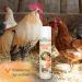 Ida Plus Kieselgur Spray 400ml - Natural Pebble Powder for Chickens & Quail - Easy Spray Can for Chicken Coop Care - Buy Online on GoSupps.com