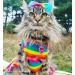 Fitwarm Rainbow Easter Dog Dress Vest Shirt for Medium Pets - Buy Online on GoSupps.com