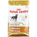 Royal Canin Labrador Adult Sterilised Pack of 1 (1 x 3 kg)
