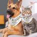 Buy Triangular Dog Scarves - Multi-Coloured Triangular Scarves for All Dog Sizes | 2-Pack - Buy Online on GoSupps.com
