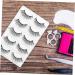 minkissy 5 Pair Luxury False Eyelashes Cruelty- Long False Eye Lashes Reusable Fake Eye Lashes Magnetic Eyelashes Natural Look Extension False Eyelashes Beauty Tools 3d Natural Style - Buy Online on GoSupps.com