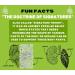 Organic Lions Mane Mushroom Extract Powder | Natural Nootropic Supplement - 56 Servings - Buy Online on GoSupps.com