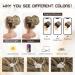 HMD Messy Bun Hair Piece - Wavy Curly Scrunchies for Women | Elastic Band Hairpieces & Updos (18TH85) - International Shipping Available - Buy Online on GoSupps.com