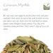 Myrthle Dried Herb Leaf - Loose Common Myrtle 100g | Premium Quality Myrthair for Culinary & Medicinal Use - Buy Online on GoSupps.com