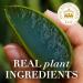 Herbal Essences Pure Plants Mango & Aloe Define & Refresh Sulfate-Free Curl Cream 193 g - Buy Online on GoSupps.com
