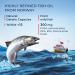 NFO Omega 3 6 9 Salmon Oil 120 Capsules Made in Norway High-dose Salmon Oil with high DPA EPA DHA Concentration in The Form of triglycerides A Natural Complex with Fish Oil from Fresh Wild Fish - Buy Online on GoSupps.com
