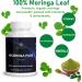 Moringa Antioxidant Capsules - 800 MG Moringa Oleifera for Energy Metabolism & Immune Support - International Shipping Available - Buy Online on GoSupps.com