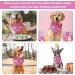 NPQ Pink Dog Birthday Bandana Adjustable Pet Birthday Bandana for Samll Dog Cat Pig Ect Your Pet's Special Day for Small Pets Birthday Party Supplies - Buy Online on GoSupps.com