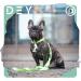 Dey Premium 3-Way Adjustable Dog Leash | Nylon 2m | For Small Medium & Large Dogs | Multiple Colors Available | Durable Black Leash - Doubleein Dog Cat Puppy Leash - Buy Online on GoSupps.com