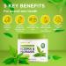 WELLUTION Natural Eczema and Psoriasis Cream - Intensive All-in-1 Treatment for Skin Irritations - Made in USA - Buy Online on GoSupps.com