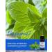 Essence Peppermint Essential Oil 100% Pure & Therapeutic Grade Perfect for Aromatherapy Diffusers & Recharging Essence Nasal Diffuser Rings Natural Stress & Mood Support (5mL) Peppermint 0.17 Fl Oz (Pack of 1) - Buy Online on GoSupps.com