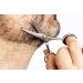 Premium REMOS Stainless Steel Beard Scissors - Serrated Razor-Sharp Blades for Precision Grooming - Buy Online on GoSupps.com