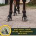 Emma Hoof Oil for Horses - 480ml with Brush | Ultimate Hoof Care & Growth | Huffett Hoof Balm & Ointment - Buy Online on GoSupps.com