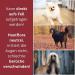 Deodog Odor Neutralizer | Eliminate Stubborn Pet Smells | Safe for Homes Cars & Pets | Cat Urine Dog Urine & Vomit Remover - Buy Online on GoSupps.com