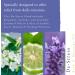 Absolute Aromas Body Mind & Soul Massage and Bath Oil Set - 3 x 100ml Glass Bottles for Stress Relief Mobility & Relaxation - International Shipping Available - Buy Online on GoSupps.com