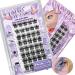 MayIFindYou New 2024 Self Adhesive Eyelashes 40Pcs Reusable Press On Lashes No Glue Needed Self Adhesive Lash Clusters Pre-Glued Eyelashes DIY Lash Extension for Beginners (D-8-16MIX A02 Persion) D-8-16MIX A02 Persion