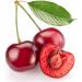 100% Pure Cherry Kernel Oil - Unrefined Cold Pressed Non-GMO Vegan Carrier Oil for Hair Skin & Nails - 16 oz Therapeutic Grade - Buy Online on GoSupps.com