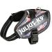 IDC Powerharness 2XS/Baby 2 - Premium British Colors | International Shipping Available - Buy Online on GoSupps.com