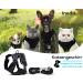 Schwartz S Cat Dishes with Leash - Premium Cat Harness for Maine Coons & Large Cats - Durable Cat Leash & Feeding Dish Combo - Buy Online on GoSupps.com