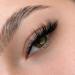 Fluffy Cat Eye Half Lashes | Mink Wispy Thick False Eyelashes - Zegaine 8 Pairs Natural Lash Pack - Buy Online on GoSupps.com